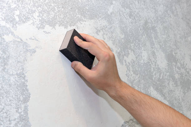 Best Emergency Mold Remediation  in Newpt, OR