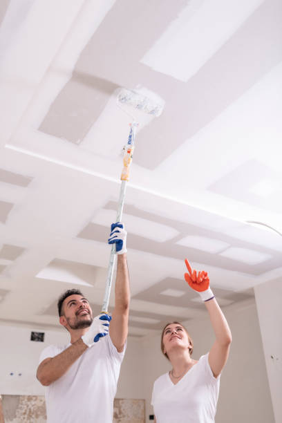 Newport, OR Mold Removal Company