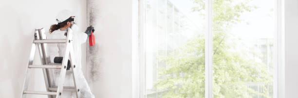 Best Dehumidification Services  in Newpt, OR